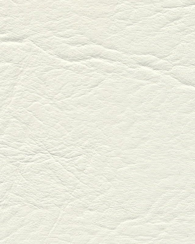 2026_05_25_1089416